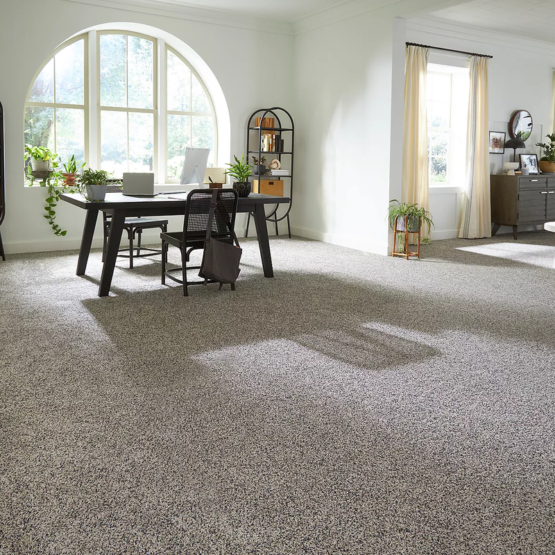 All Pet® is backed by our Pet® Protection & Warranty